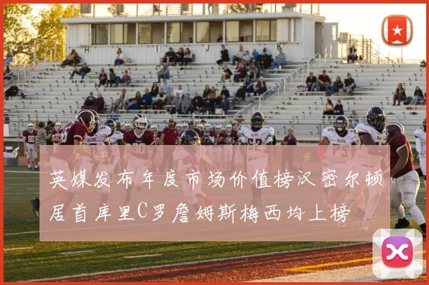 英媒发布年度市场价值榜汉密尔顿居首库里C罗詹姆斯梅西均上榜