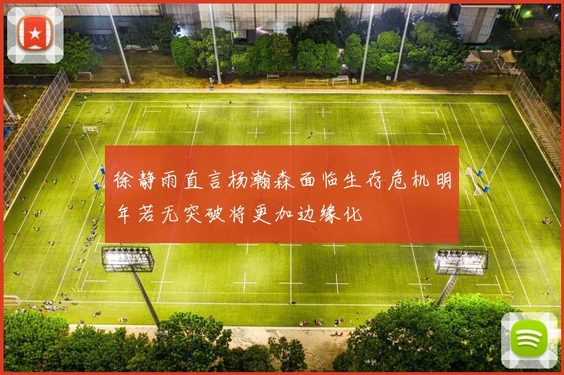 徐静雨直言杨瀚森面临生存危机明年若无突破将更加边缘化