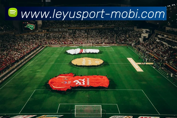 乐鱼体育发展历程