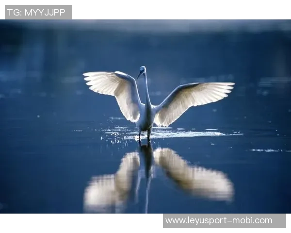 勇士在卡巴配外线阵容中展现绝对优势8分半内打出27-14的精彩表现 勇士在卡巴配外线阵容中展现绝对优势8分半内打出27-14的精彩表现